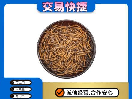 天津市南开回收散虫草